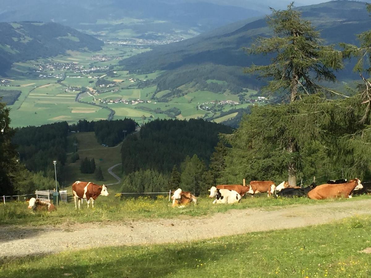 Landhaus Lungau Sankt Michael im Lungau Luaran gambar